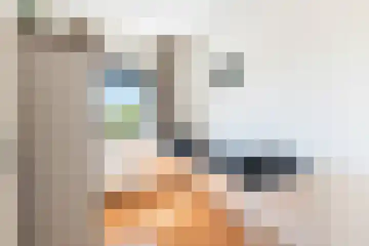 Wijngaard 13 Woerden thumbnail 37