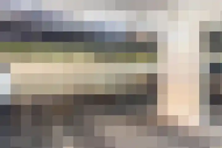 Wijngaard 13 Woerden thumbnail 49