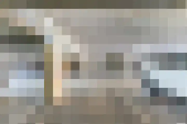 Wijngaard 13 Woerden thumbnail 50