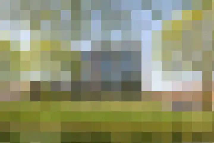 Wijngaard 13 Woerden thumbnail 52