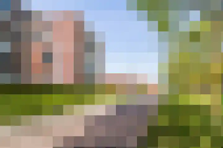 Wijngaard 13 Woerden thumbnail 53