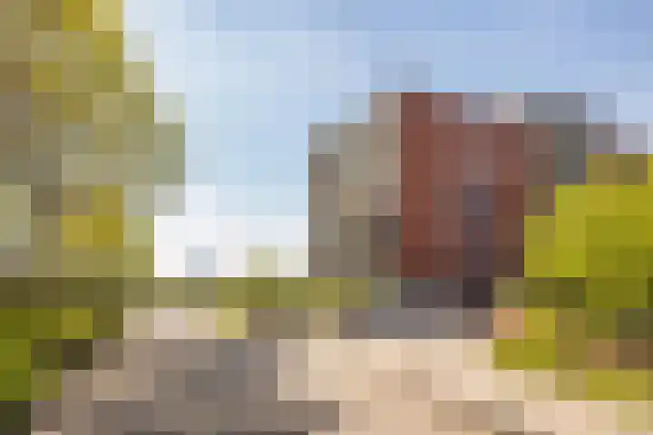Wijngaard 13 Woerden thumbnail 57