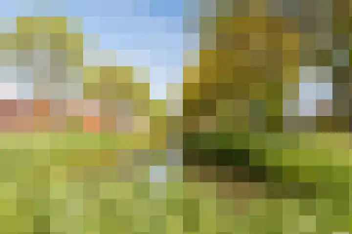 Wijngaard 13 Woerden thumbnail 58