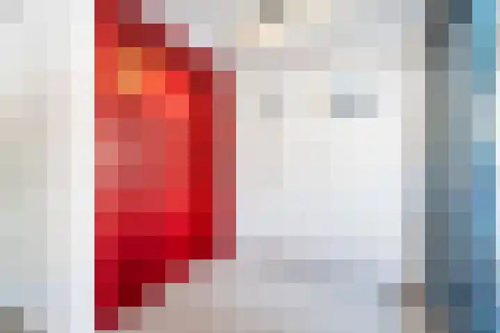 Wijngaard 13 Woerden thumbnail 7