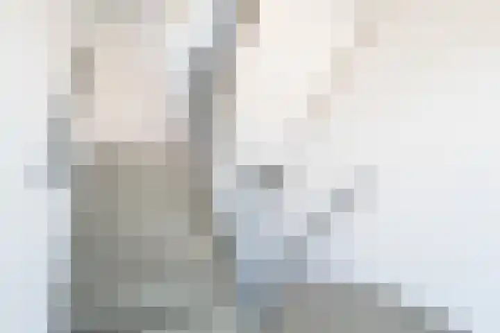 Wijngaard 13 Woerden thumbnail 8