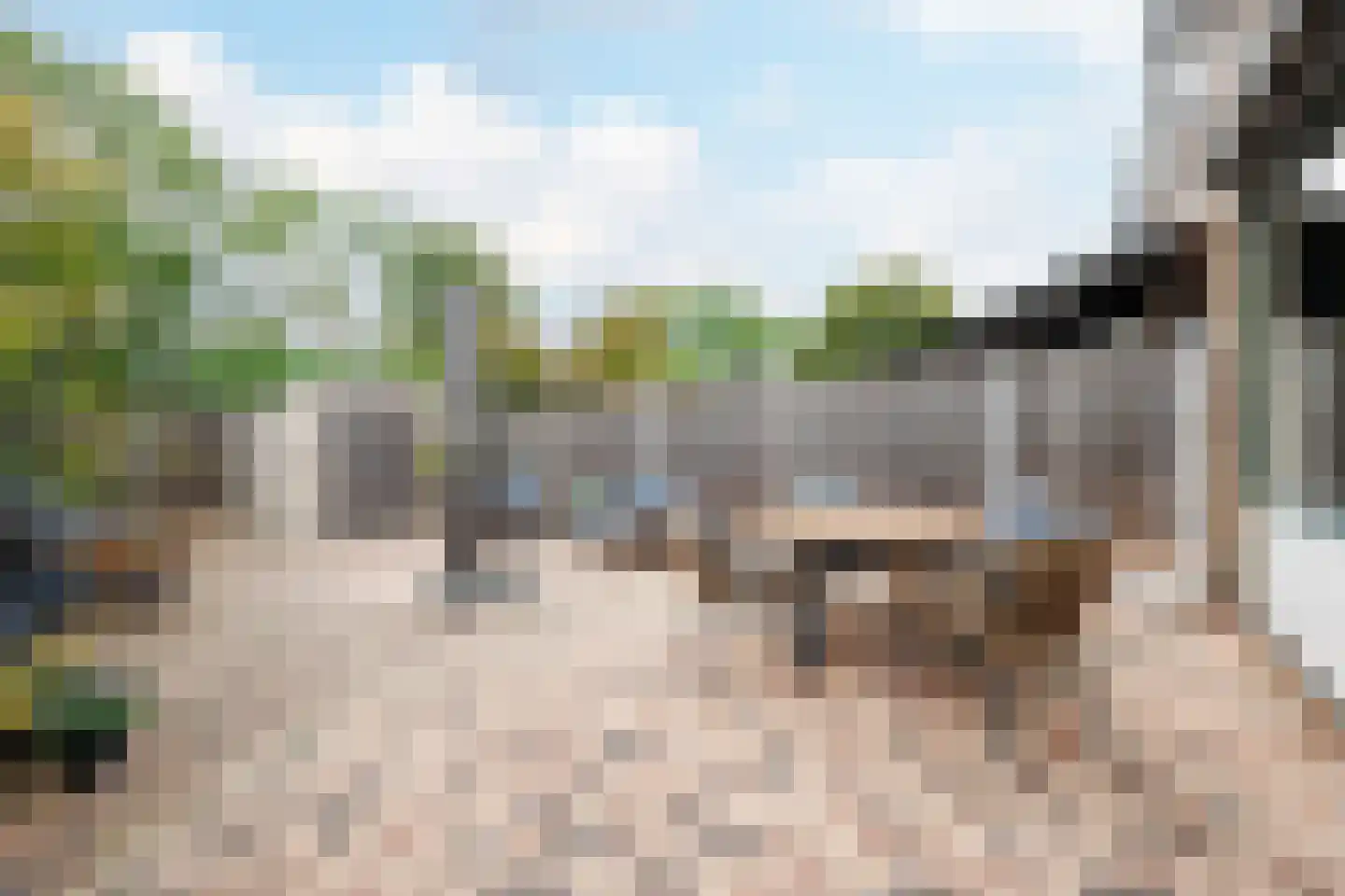 Wijngaard 137 Lelystad thumbnail 14