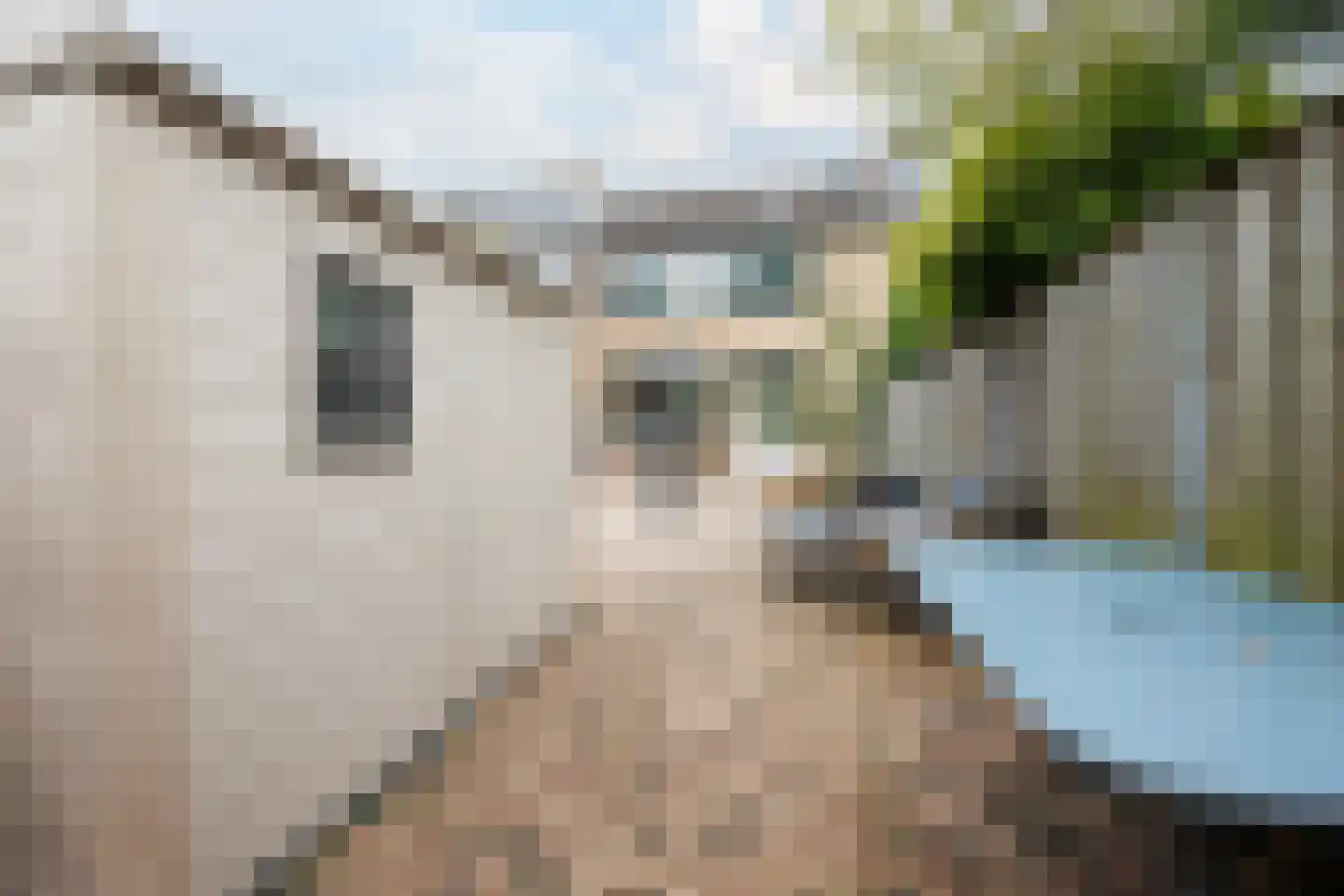 Wijngaard 137 Lelystad thumbnail 16