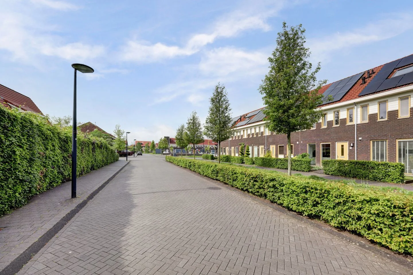 Wijngaard 14 Dronten thumbnail 48