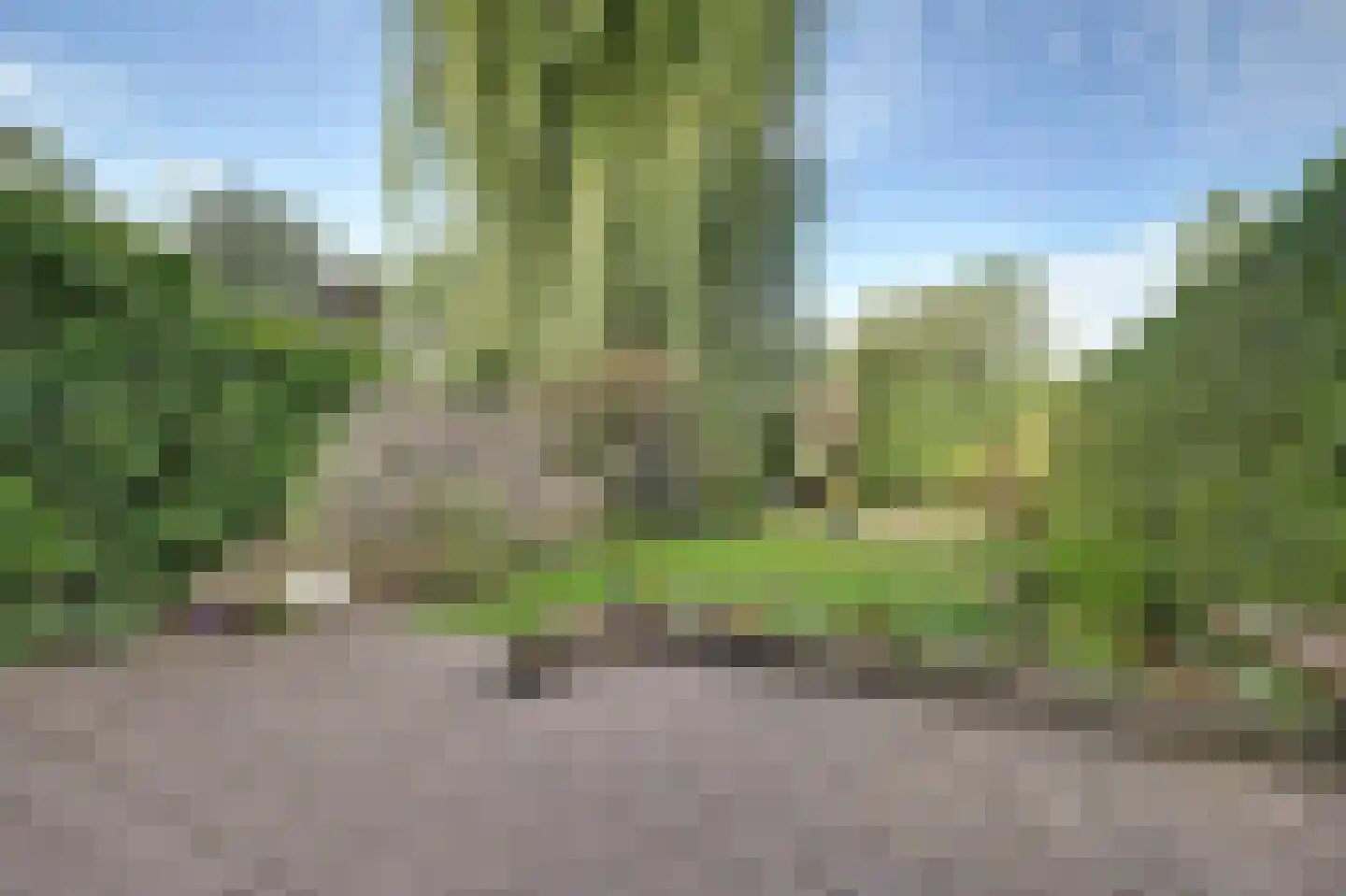 Wijngaard 141 Lelystad thumbnail 26