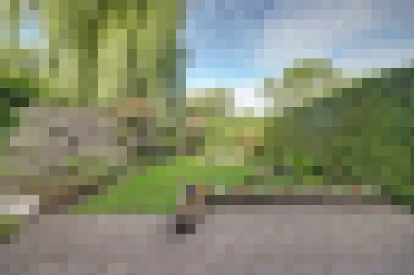 Wijngaard 141 Lelystad thumbnail 27