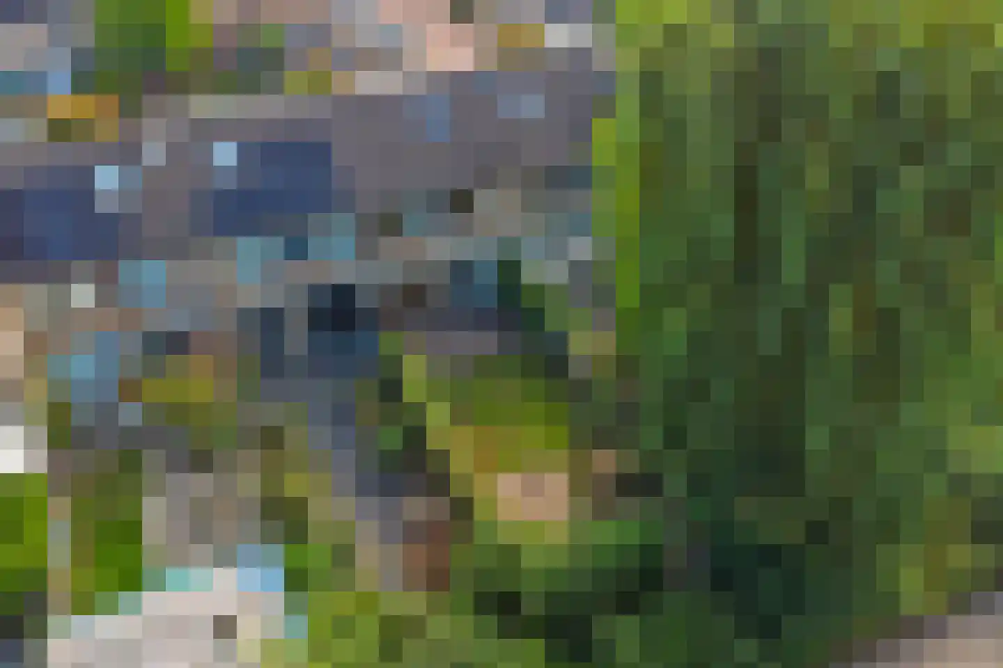 Wijngaard 141 Lelystad thumbnail 38