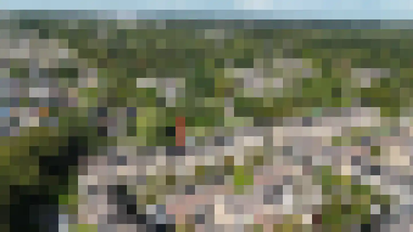 Wijngaard 141 Lelystad thumbnail 6