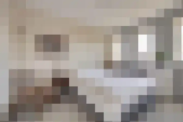 Wijngaard 16 Dronten thumbnail 17