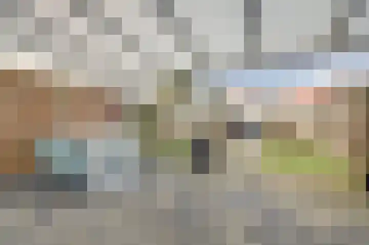 Wijngaard 16 Dronten thumbnail 25