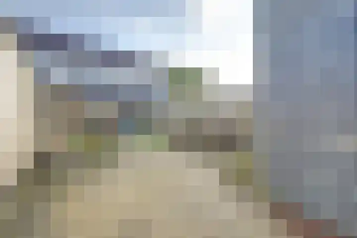 Wijngaard 16 Dronten thumbnail 27