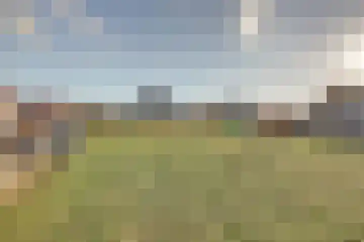 Wijngaard 16 Dronten thumbnail 30