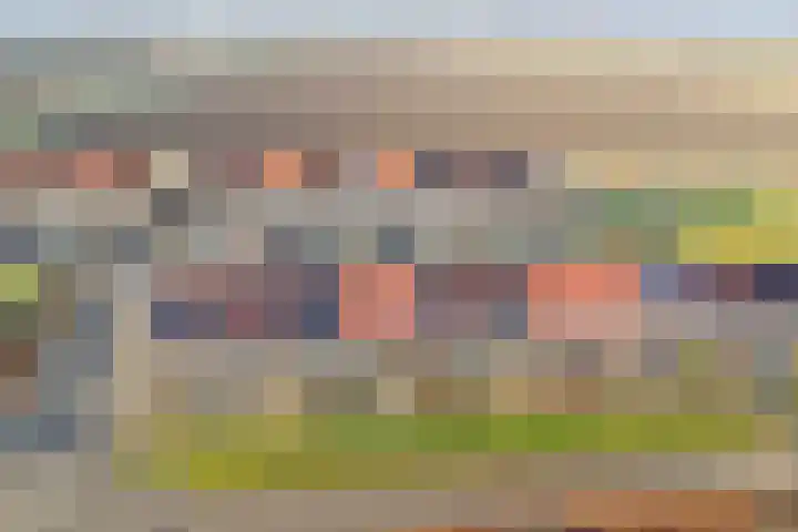 Wijngaard 16 Dronten thumbnail 34