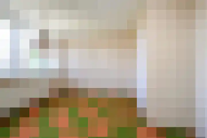 Wijngaard 188 Lelystad thumbnail 15