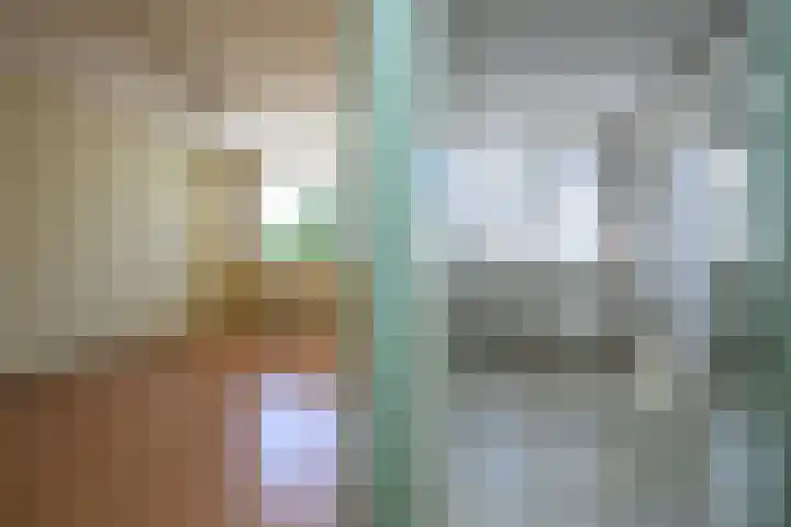 Wijngaard 188 Lelystad thumbnail 17