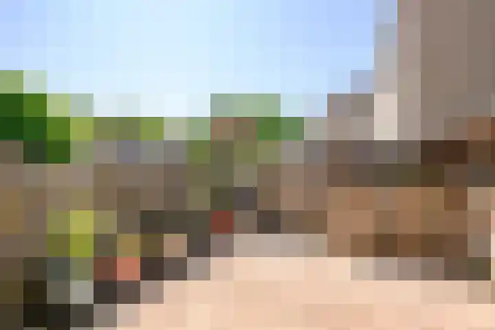 Wijngaard 188 Lelystad thumbnail 28
