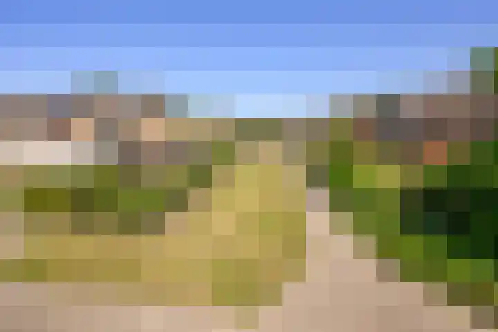 Wijngaard 188 Lelystad thumbnail 29