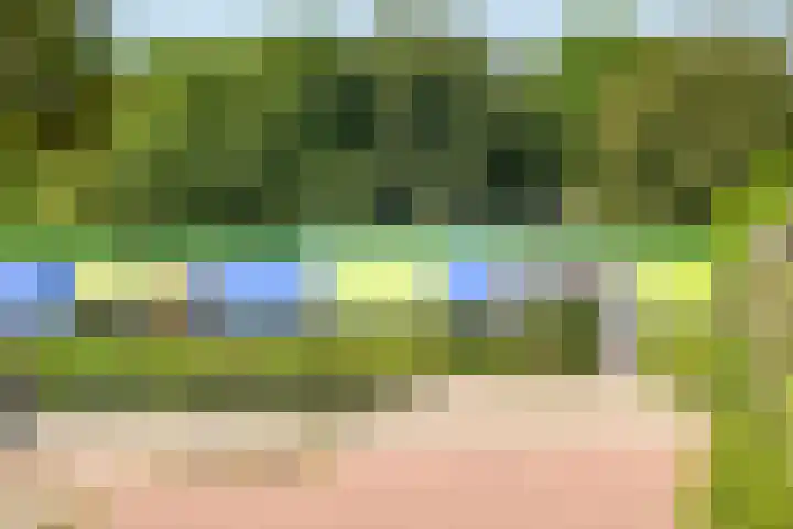 Wijngaard 188 Lelystad thumbnail 33