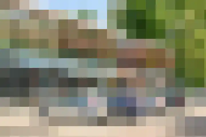 Wijngaard 188 Lelystad thumbnail 34