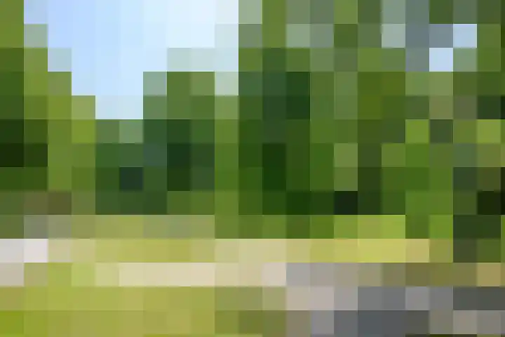 Wijngaard 188 Lelystad thumbnail 35