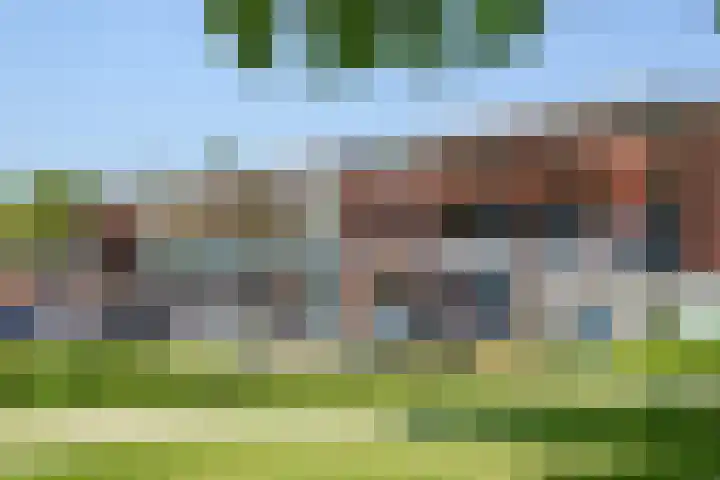 Wijngaard 188 Lelystad thumbnail 36