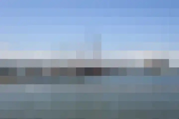 Wijngaard 188 Lelystad thumbnail 38