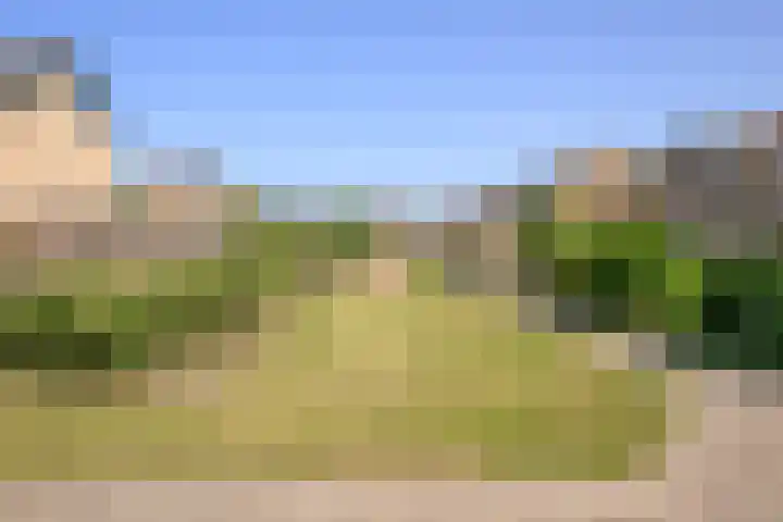 Wijngaard 188 Lelystad thumbnail 4