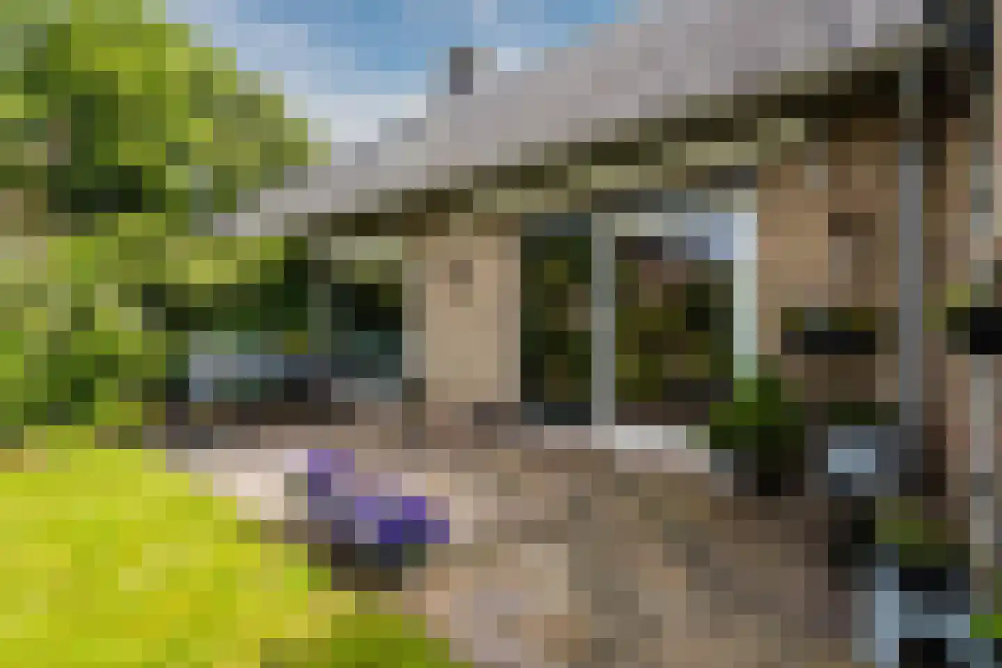 Wijngaard 20 Lelystad thumbnail 38
