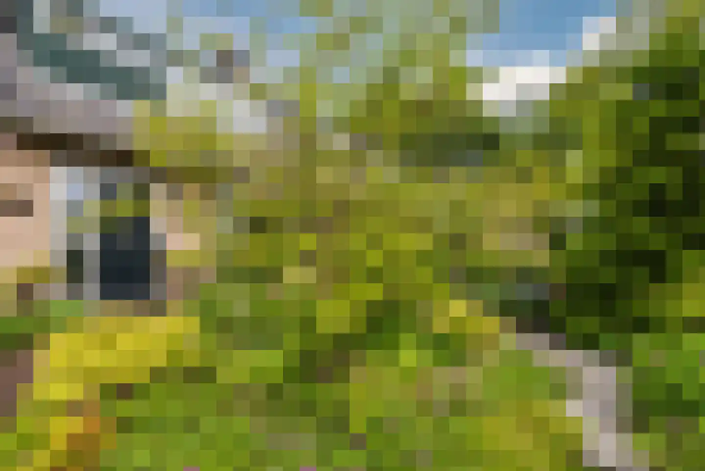 Wijngaard 20 Lelystad thumbnail 8