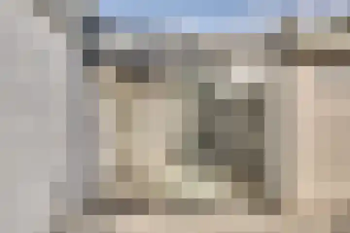 Wijngaard 20 Zevenbergen thumbnail 18