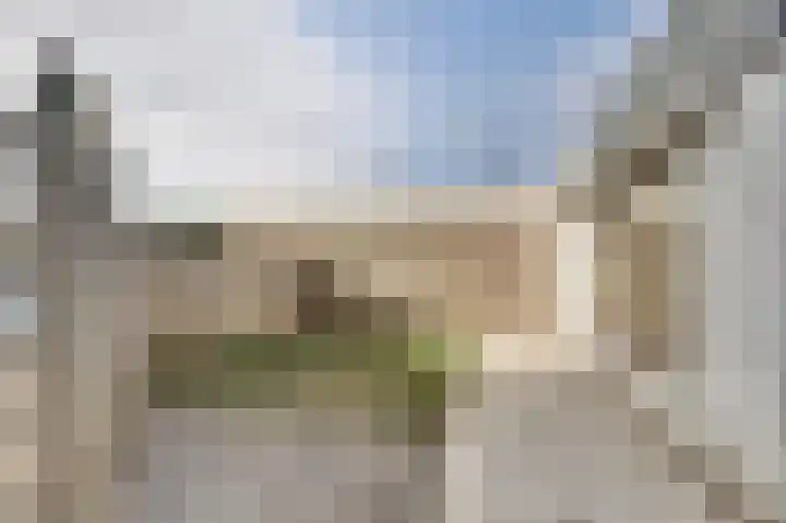Wijngaard 20 Zevenbergen thumbnail 20