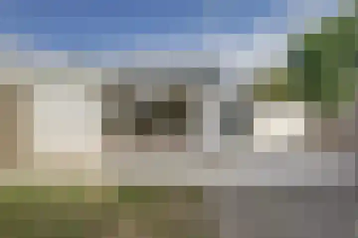 Wijngaard 20 Zevenbergen thumbnail 21