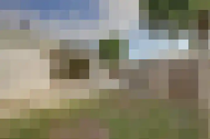 Wijngaard 20 Zevenbergen thumbnail 22