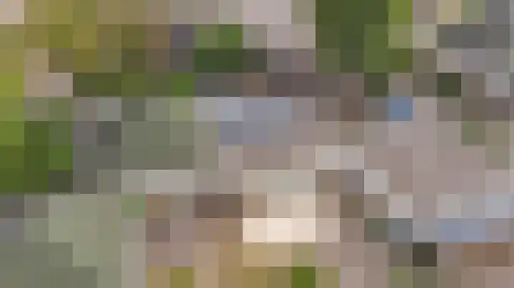 Wijngaard 20 Zevenbergen thumbnail 23