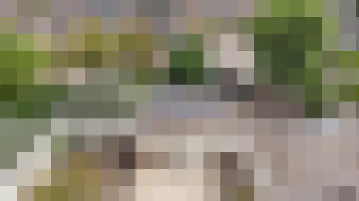 Wijngaard 20 Zevenbergen thumbnail 24