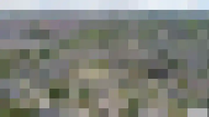 Wijngaard 20 Zevenbergen thumbnail 30