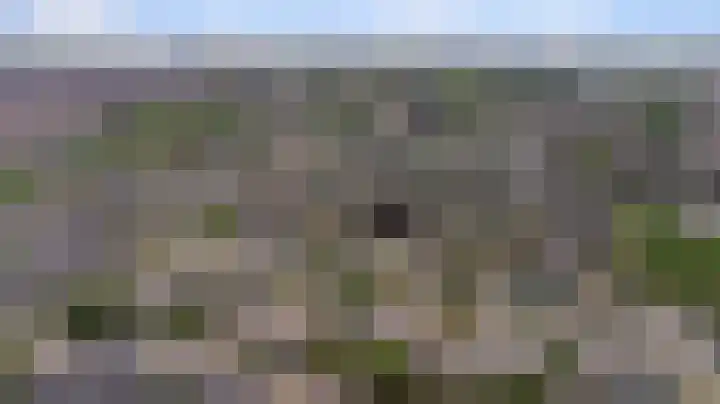 Wijngaard 20 Zevenbergen thumbnail 31
