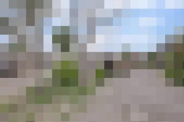 Wijngaard 20 Zevenbergen thumbnail 32