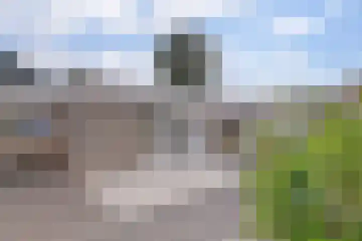 Wijngaard 20 Zevenbergen thumbnail 37