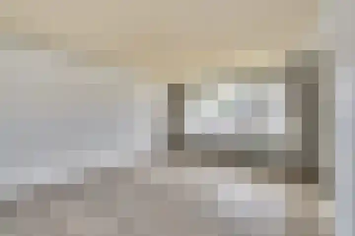 Wijngaard 20 Zevenbergen thumbnail 4
