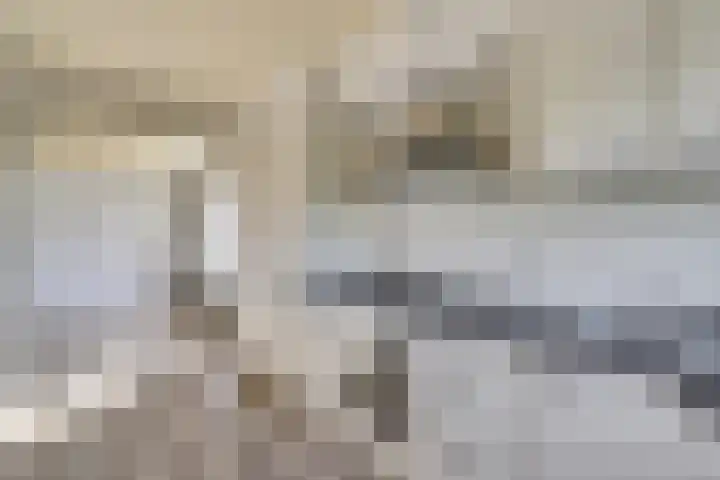 Wijngaard 20 Zevenbergen thumbnail 6