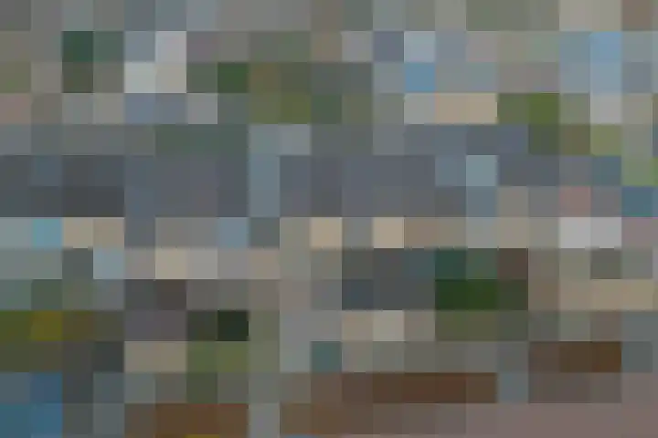 Wijngaard 202 Lelystad thumbnail 34