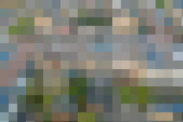 Wijngaard 202 Lelystad thumbnail 39