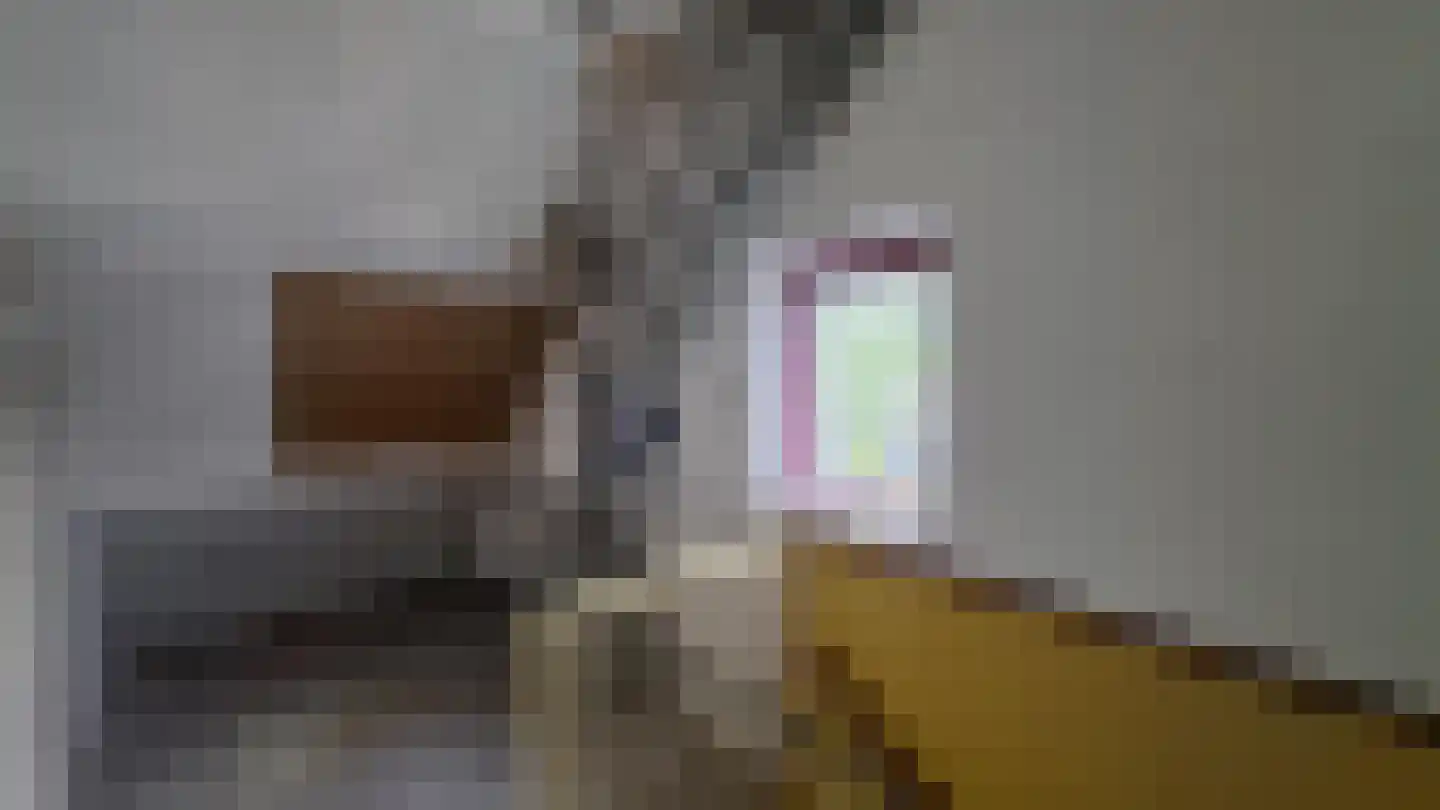 Wijngaard 23 Spijkenisse thumbnail 11
