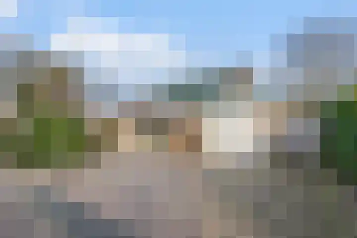 Wijngaard 27 Lelystad thumbnail 11