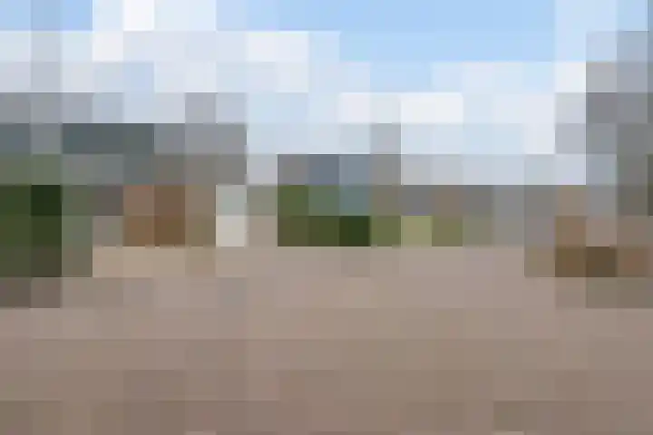 Wijngaard 27 Lelystad thumbnail 12